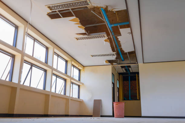 Best Ceiling water damage repair  in Fitzgerald, GA