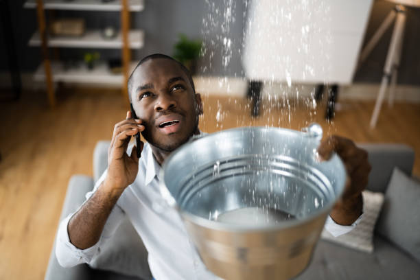 Best Water damage restoration mold remediation  in Fitzgerald, GA