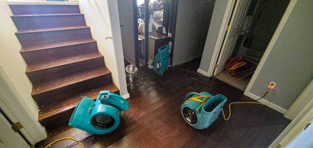 Best Sewage cleanup and water damage restoration  in Fitzgerald, GA