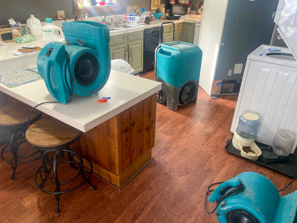 Best Basement water damage restoration  in Fitzgerald, GA