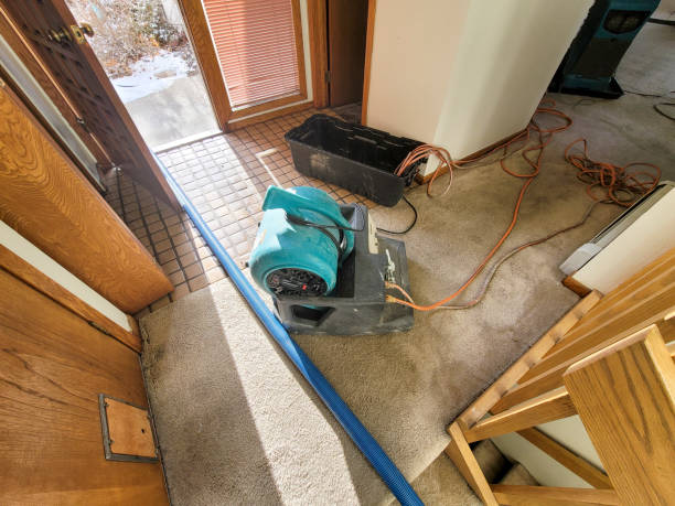 Best Water damage cleanup near me  in Fitzgerald, GA