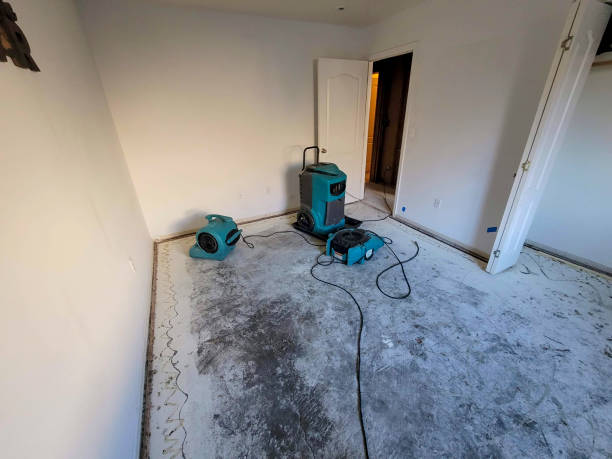 Best Commercial water damage restoration  in Fitzgerald, GA