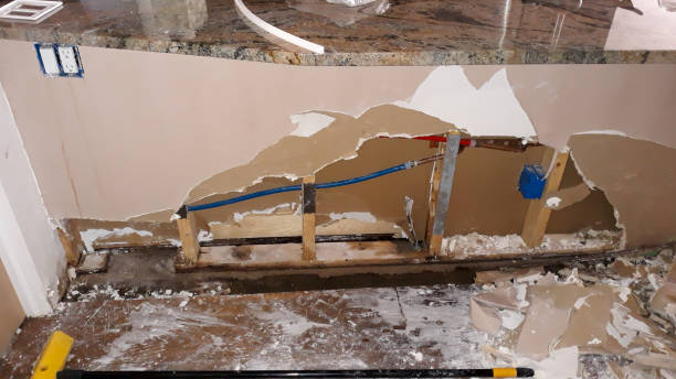 Best Flood damage cleanup  in Fitzgerald, GA