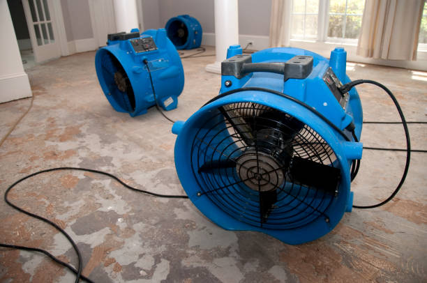 Best Carpet water damage restoration  in Fitzgerald, GA