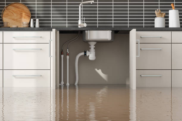 Best Commercial water damage restoration  in Fitzgerald, GA